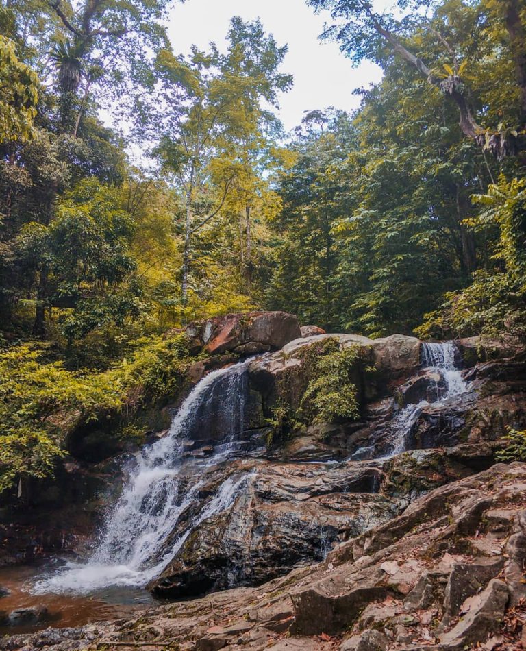 Taman Eko Rimba Jeram Tengkek