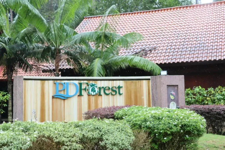 PD Forest Sungai Menyala