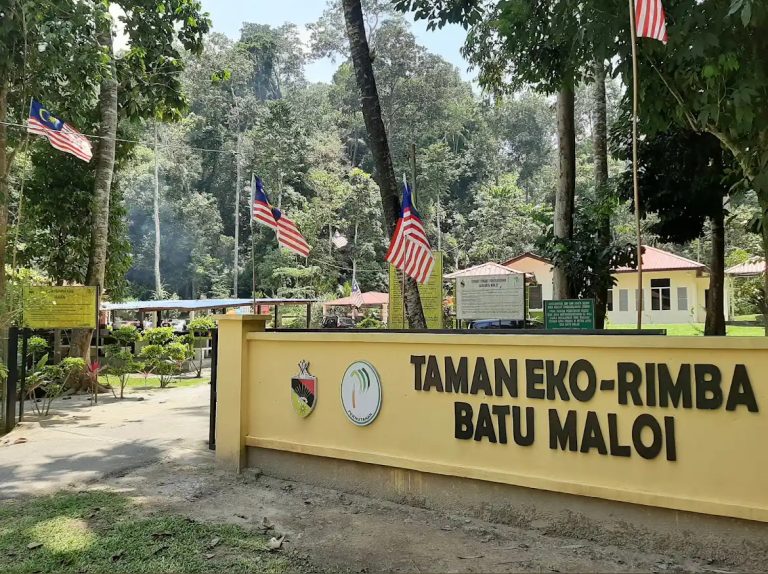 Batu Maloi Forest Eco Park