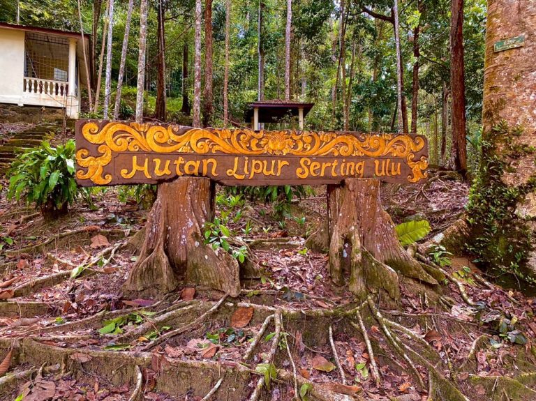 Taman Eko Rimba Serting Ulu